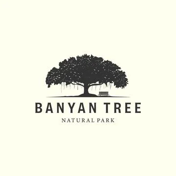 Vector of banyan tree with vintage style logo design illustration, oak tree i Illustrazione stock