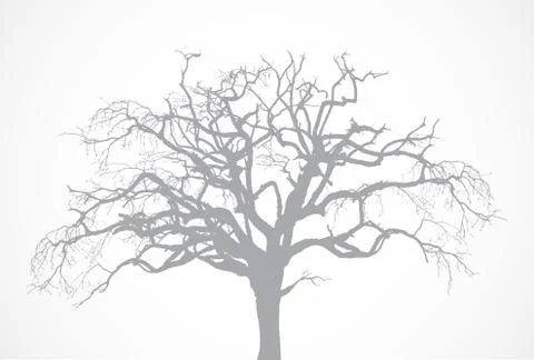 Vector bare old dry dead tree silhouette without leaf - oak crown Illustrazione stock