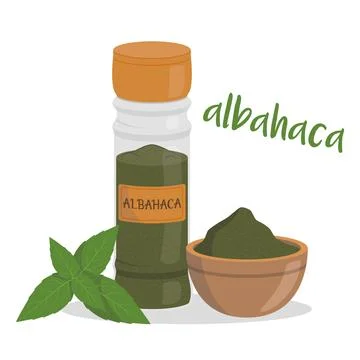 Vector basil illustration isolated in cartoon style. Spanish name. Herbs an.. Stock Illustration