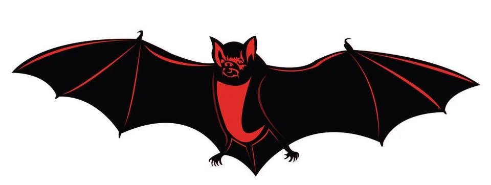 Vector bat Vector bat silhouette on white background Copyright: xZoonar.co... Stock Photos