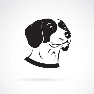 Vector of a beagle dog head on a white background. Pet. Animals. Illustrazione stock