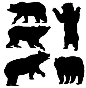 Vector bear set Stock Illustration