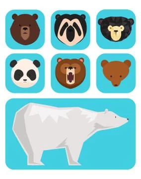 Vector bears different style funny happy animals cartoon predator cute bear Stock Illustration