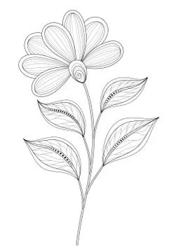 Vector Beautiful Contour Flower Stock Illustration