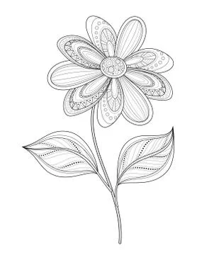 Vector Beautiful Contour Flower Stock Illustration