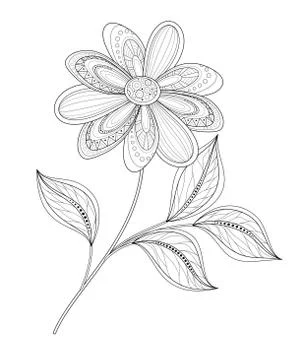 Vector Beautiful Contour Flower Stock Illustration