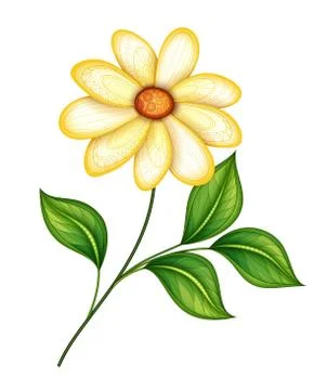 Vector Beautiful  Flower Stock Illustration