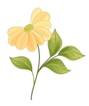 Vector Beautiful  Flower Stock Illustration