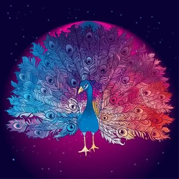 Vector Beautiful Hand drawn Peacock bird Stock Illustration