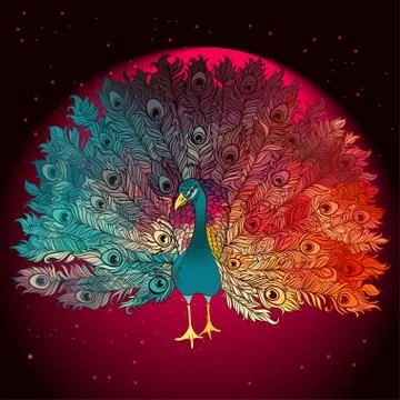 Vector Beautiful Hand drawn Peacock bird Stock Illustration