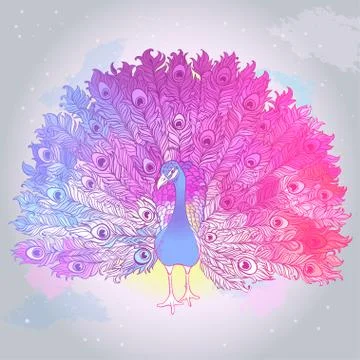 Vector Beautiful Hand drawn Peacock bird Stock Illustration
