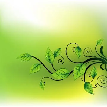 Vector beautiful leaf Stock Illustration