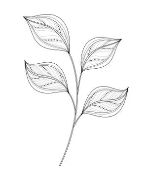 Vector Beautiful Monochrome Leaf Stock Illustration