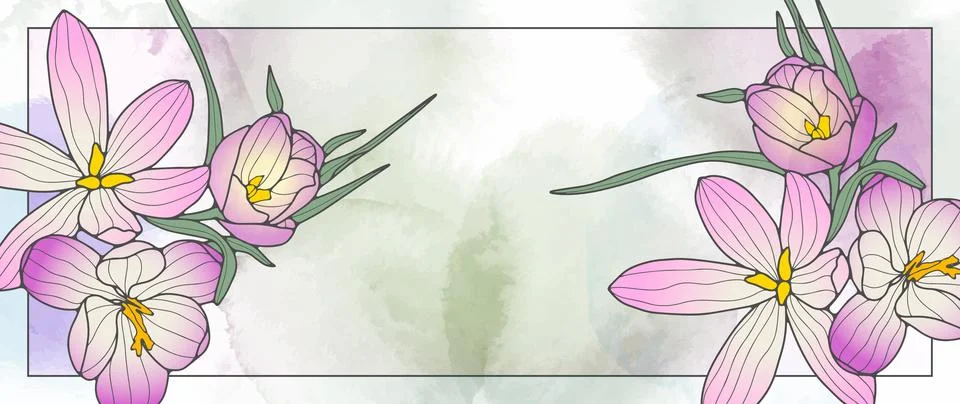 Vector beautiful spring floral frame for text or photo with pink crocuses Stock Illustration