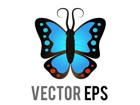 Vector beautiful winged insect butterfly icon with blue and black morpho wing Ilustración de archivo
