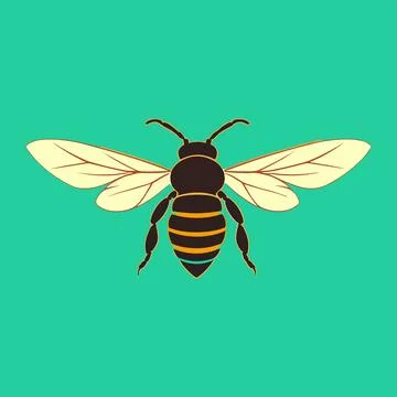 Vector bee from top black Stock Illustration