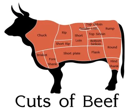 Vector beef cuts chart Stock Illustration