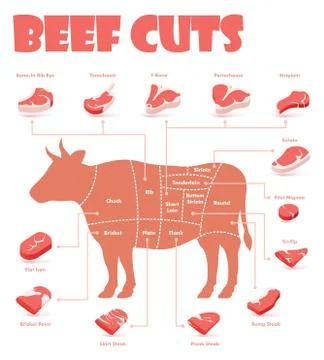 Vector beef cuts chart Stock Illustration