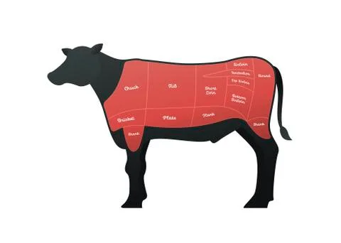 Vector beef steak diagram banner. White modern style cow silhouette with markup. Stock Illustration