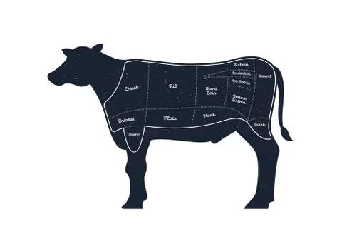 Vector beef steak diagram banner. American meat cutting. Illustrazione stock