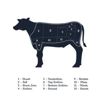Vector beef steak diagram banner. American meat cutting scheme イラスト素材