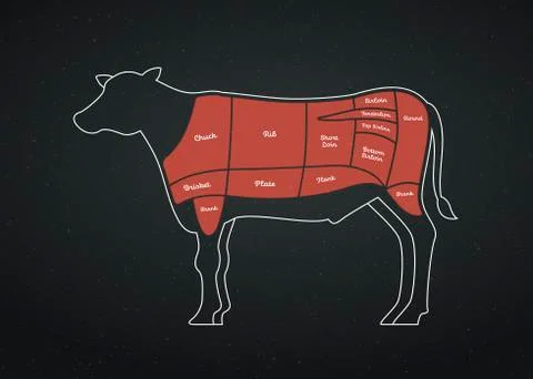 Vector beef steak diagram poster. White flat cow silhouette with markup Stock Illustration