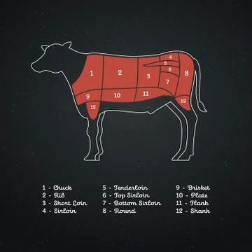 Vector beef steak diagram poster. American meat cutting. イラスト素材
