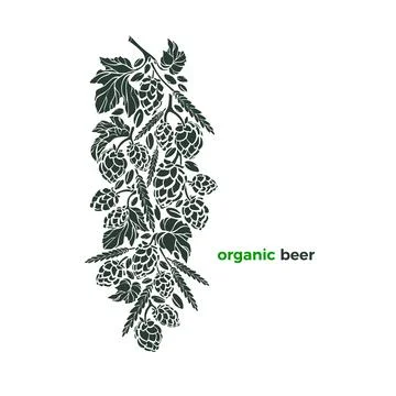Vector beer pattern. Nature twig of hop, wheat grain, corn, seed. Texture ink Stock Illustration
