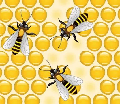 Vector bees on honeycells Stock Illustration