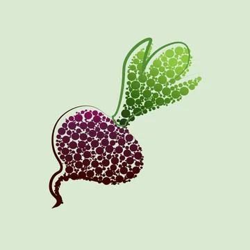 Vector beet. Red beetroot with leaves whole and cut isolated on white backgro Stock Illustration