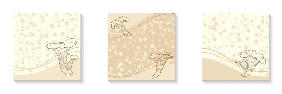 Vector beige square illustrations for social media. Chanterelle outlines Stock Illustration