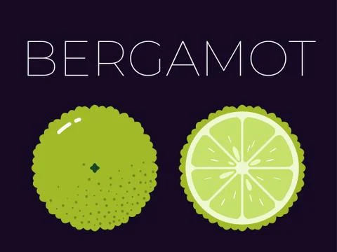 Vector of bergamot and sliced half of bergamot on dark background Stock-Illustration