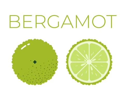 Vector of bergamot and sliced half of bergamot on white background Stock Illustration
