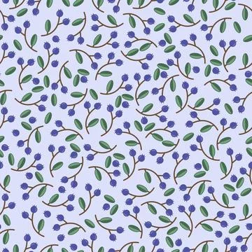 Vector berries blueberries seamless pattern Stock Illustration