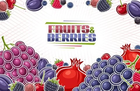 Vector Berries illustration Stock Illustration