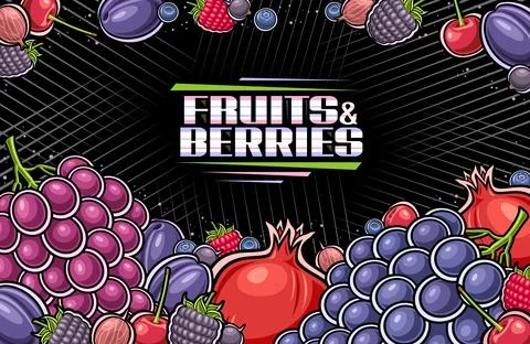 Vector Berries illustration Stock Illustration