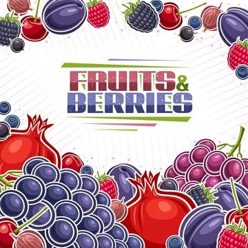 Vector Berries Layout Stock-Illustration