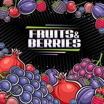Vector Berries Layout Stock Illustration