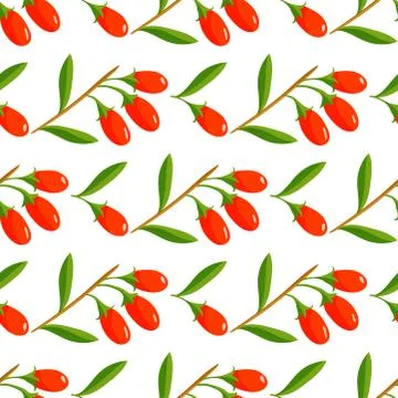 Vector berries seamless pattern vegetarian with berry branches background Stock Illustration
