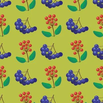 Vector berries seamless pattern vegetarian berry food with branches background イラスト素材