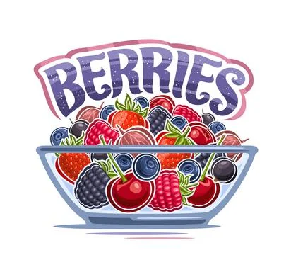 Vector Berry Bowl Stock Illustration