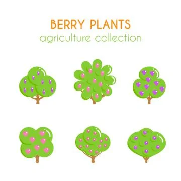 Vector berry bush illustration Stock Illustration