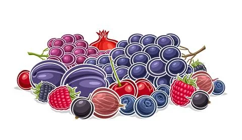 Vector Berry Logo 스톡 일러스트