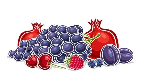 Vector Berry Logo Stock Illustration