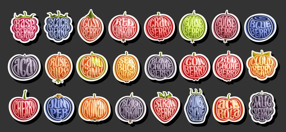 Vector Berry Set Stock Illustration