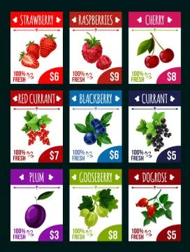 Vector berry shop or fruit market price cards 스톡 일러스트