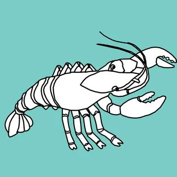 Vector big and beautiful shrimp Stock Illustration