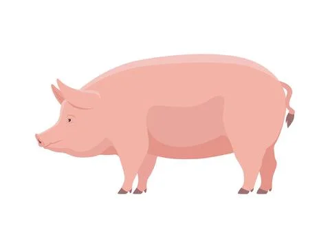 Vector big fat pig Stock Illustration
