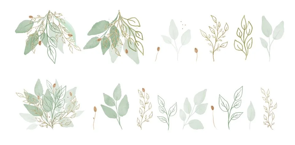 Vector Big Set botanic elements - wildflowers, herbs, leaf. Green and gold co Ilustración de archivo