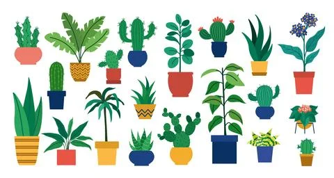 Vector big set with indoor plants Stock Illustration